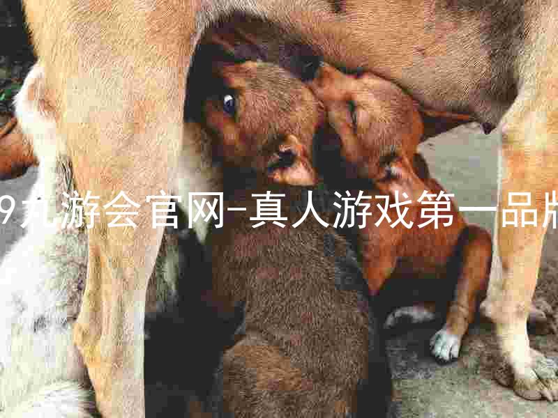 j9九游会官网-真人游戏第一品牌